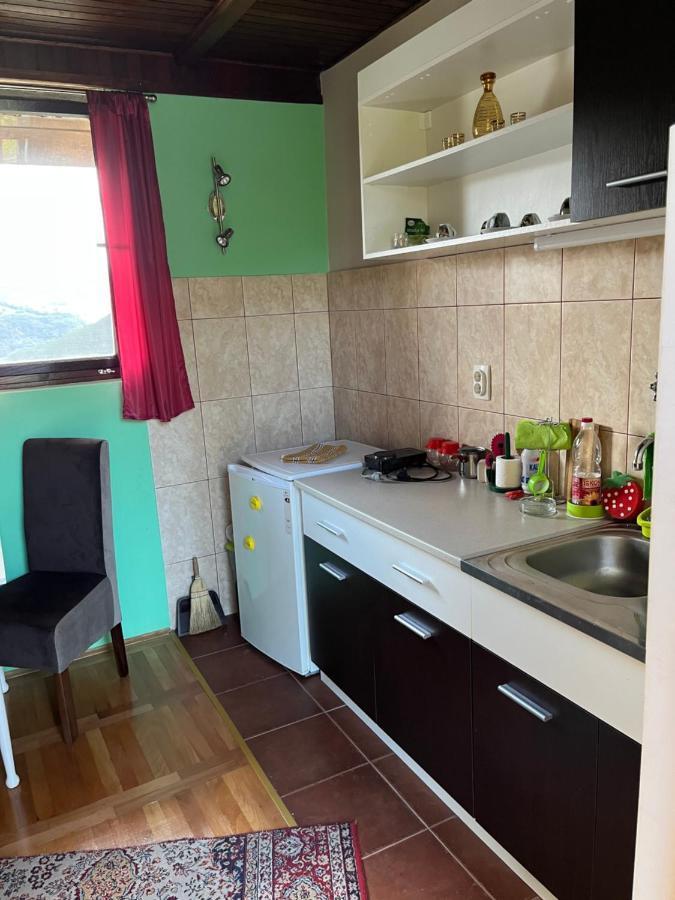 Apartman Jezero Vrutci Užice Kültér fotó